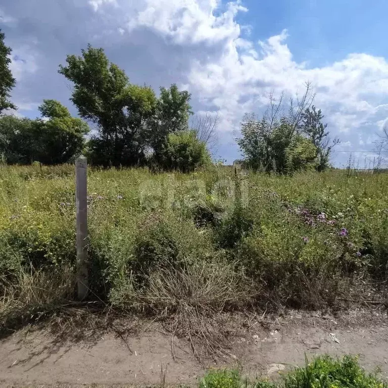 Участок в Кемеровская область, Юрга Солнечная ул. (13.0 сот.) - Фото 1