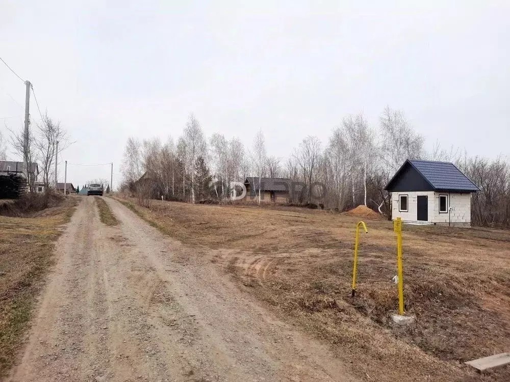 Участок в Алтайский край, Барнаул городской округ, пос. Бельмесево ... - Фото 1