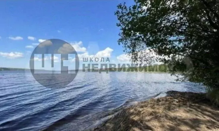 Участок в Ленинградская область, Кингисеппский район, Нежновское ... - Фото 1