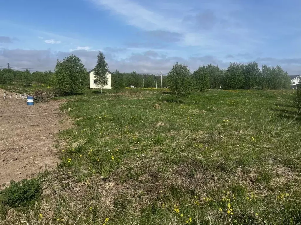 Участок в Ленинградская область, Ломоносовский район, Лопухинское ... - Фото 1