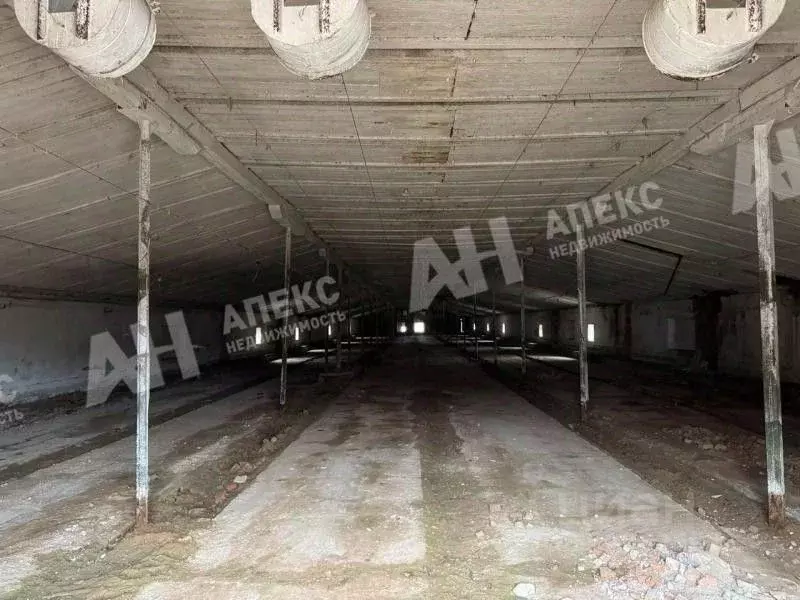 Склад в Московская область, Истра муниципальный округ, пос. Красная ... - Фото 1