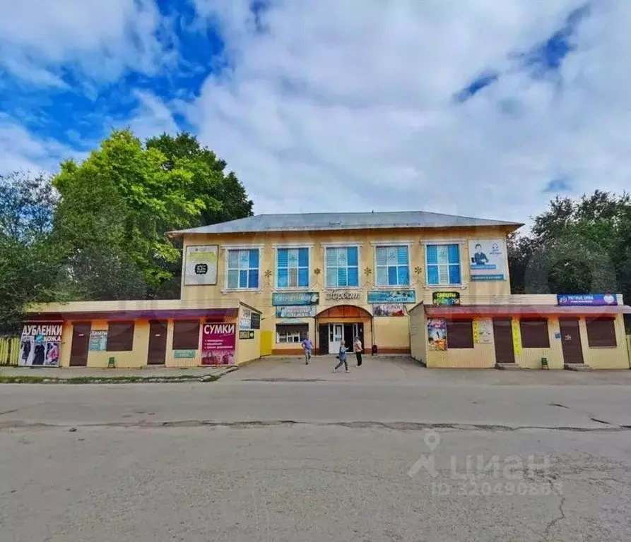 Помещение свободного назначения в Самарская область, Похвистнево ... - Фото 1