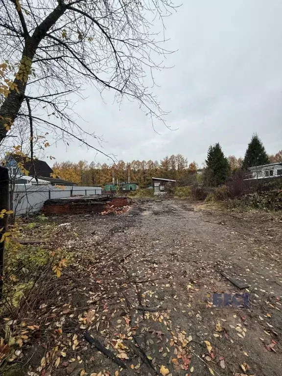 Участок в Московская область, Пушкинский городской округ, ... - Фото 2