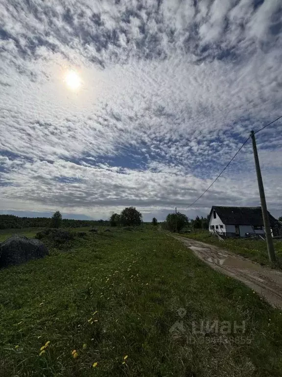 Участок в Ленинградская область, Ломоносовский район, Лопухинское ... - Фото 2