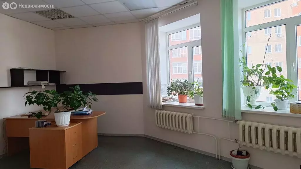 Офис (1823.6 м) - Фото 1