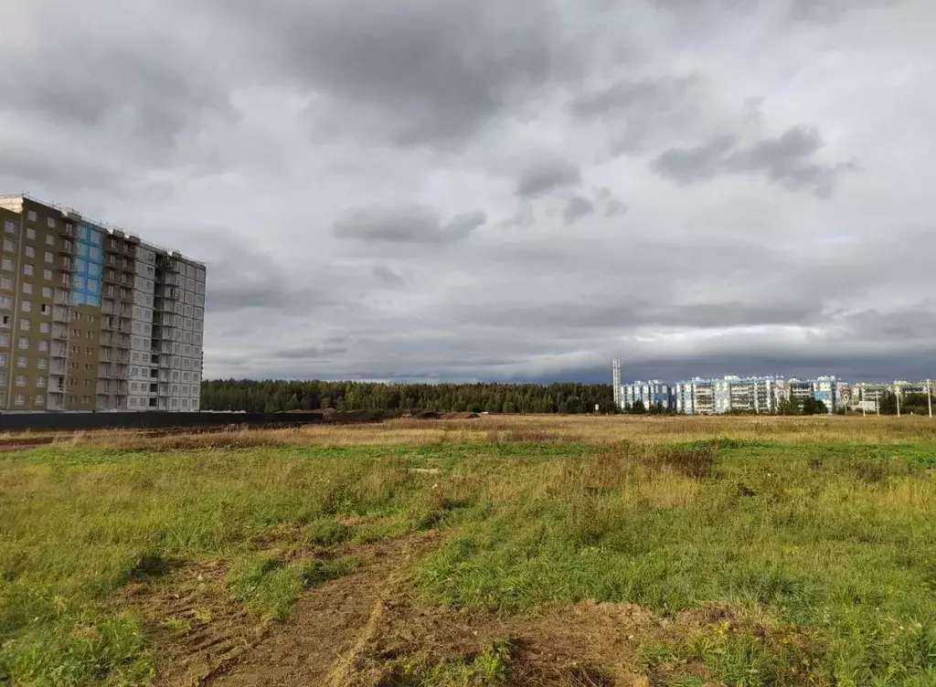 Студия Ленинградская область, Всеволожский район, Янино-1 городской ... - Фото 1