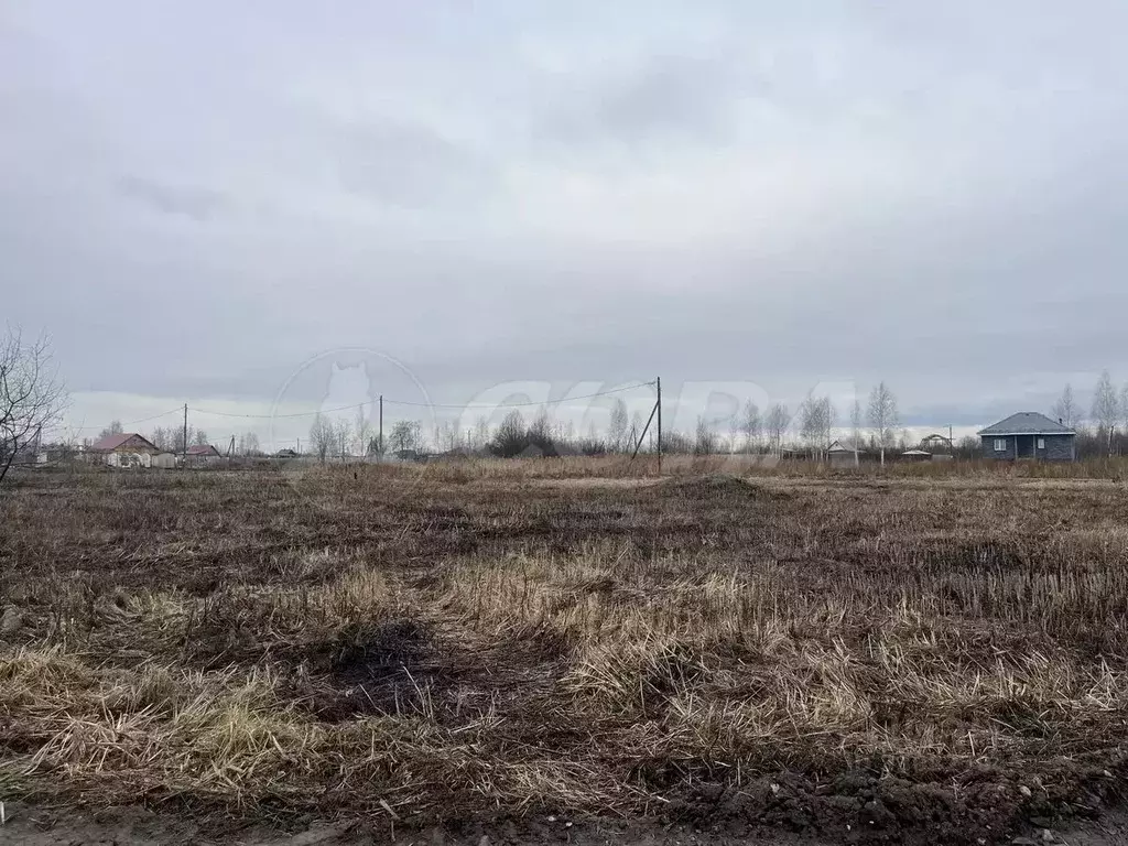 Участок в Тюменская область, Тюмень Большое Царево-1 СНТ,  (9.94 сот.) - Фото 1