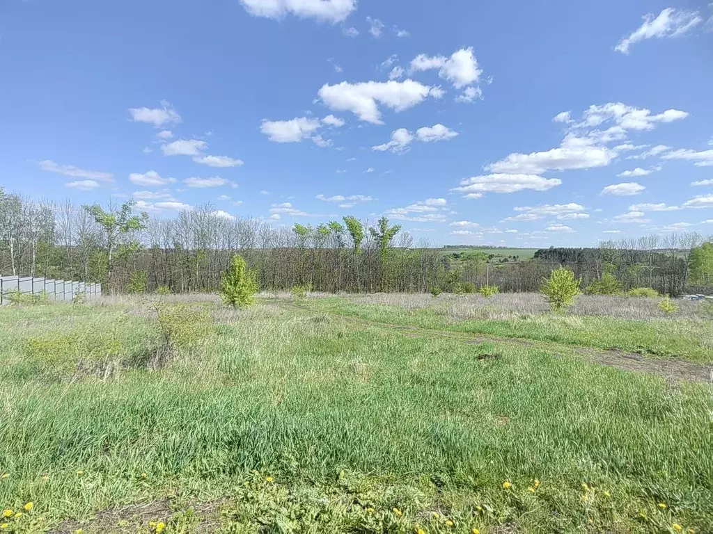 Участок в Белгородская область, Белгородский район, с. Стрелецкое, ... - Фото 1