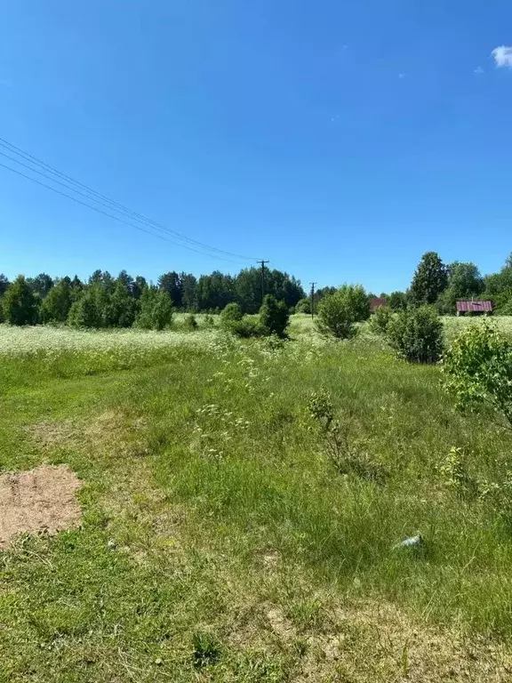 Участок в Псковская область, Стругокрасненский район, пос. Павлово  ... - Фото 0