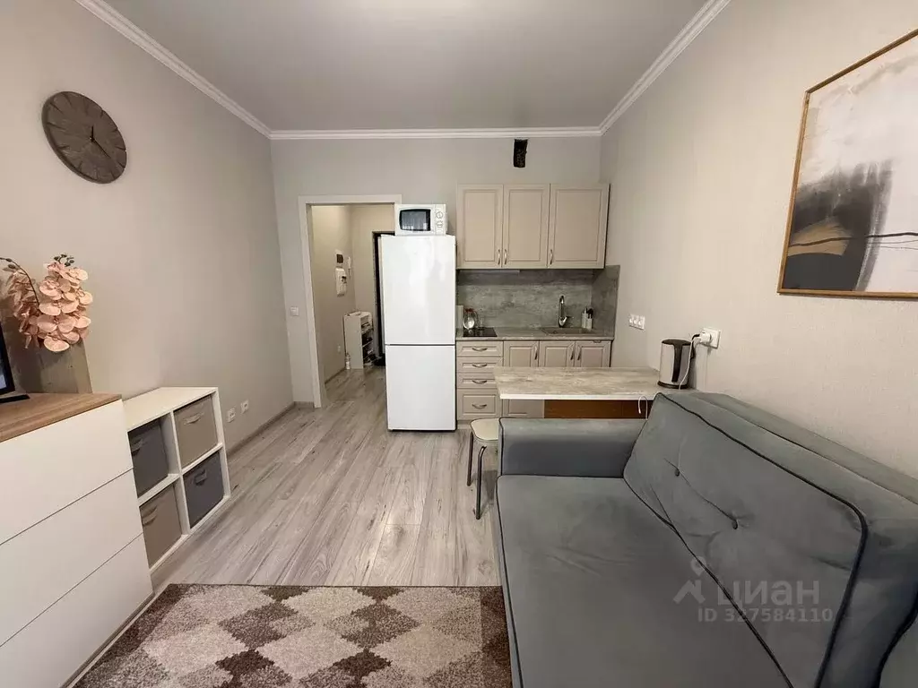 Студия Краснодарский край, Краснодар ул. Евгении Жигуленко, 13к2 (19.4 ... - Фото 1