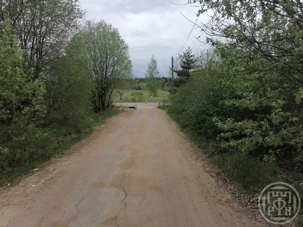 Участок в Ленинградская область, Всеволожский район, Лесколовское ... - Фото 2