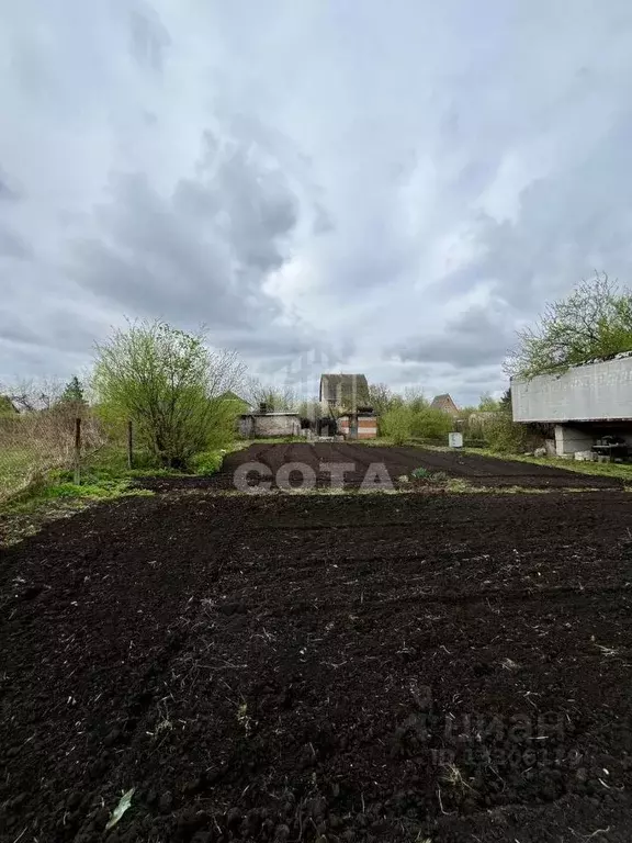 Участок в Воронежская область, Верхнехавский район, Малоприваловское ... - Фото 1