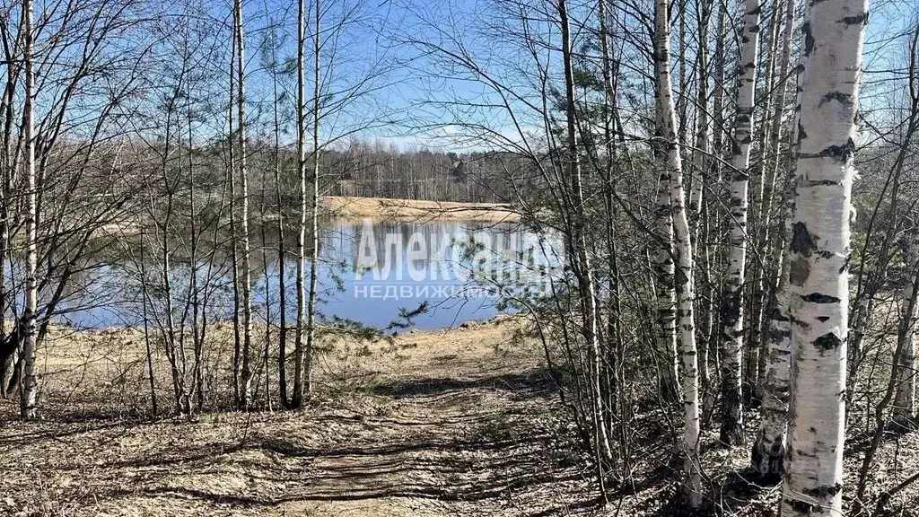 Участок в Ленинградская область, Всеволожский район, Сертоловское ... - Фото 1