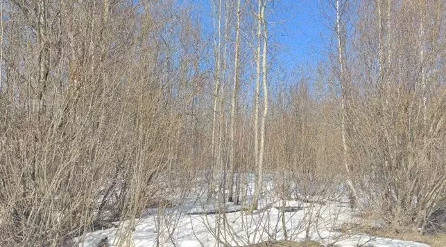 Участок в Московская область, Щелково городской округ, д. Мишнево  ... - Фото 1