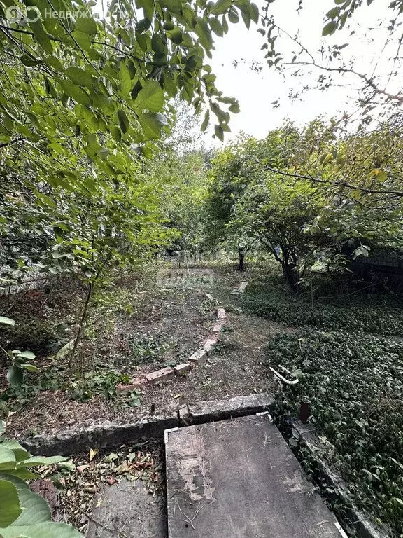 Участок в Ростов-на-Дону, СТ Светлый путь, 62 (6 м) - Фото 1