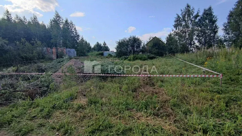 Участок в Новосибирская область, Новосибирск Заря-3 СТ, 81 (6.0 сот.) - Фото 1