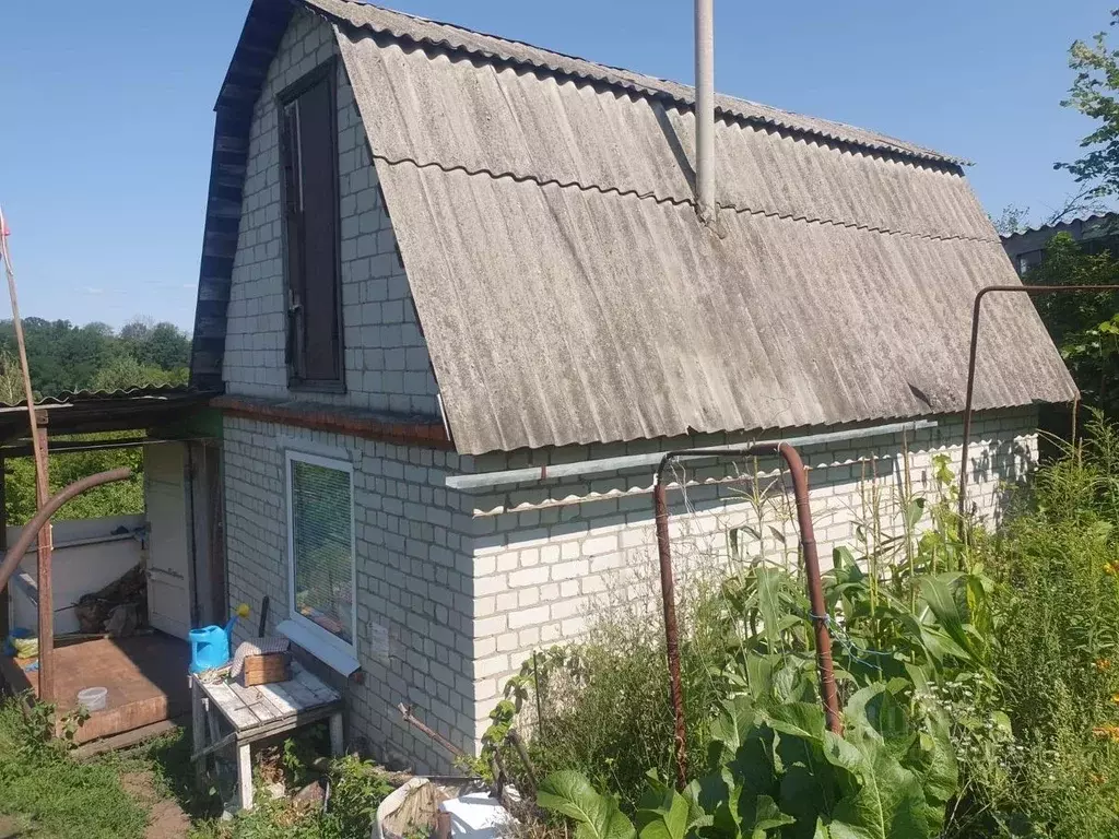 Дом в Белгородская область, Яковлевский муниципальный округ, Роговой ... - Фото 0