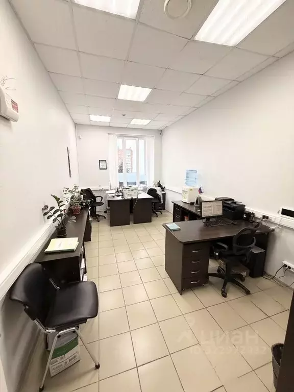 Помещение свободного назначения в Чувашия, Чебоксары ул. 50 лет ... - Фото 1