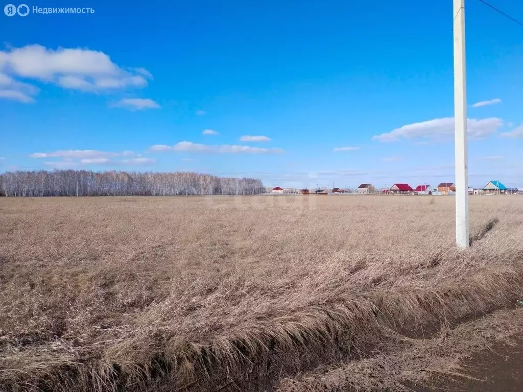 Участок в село Сосновка, 1-я Заводская улица (14.9 м) - Фото 1