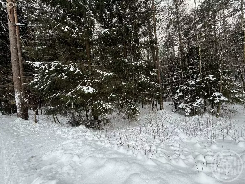 Участок в посёлок Первомайское, Дачная улица (11.07 м) - Фото 2