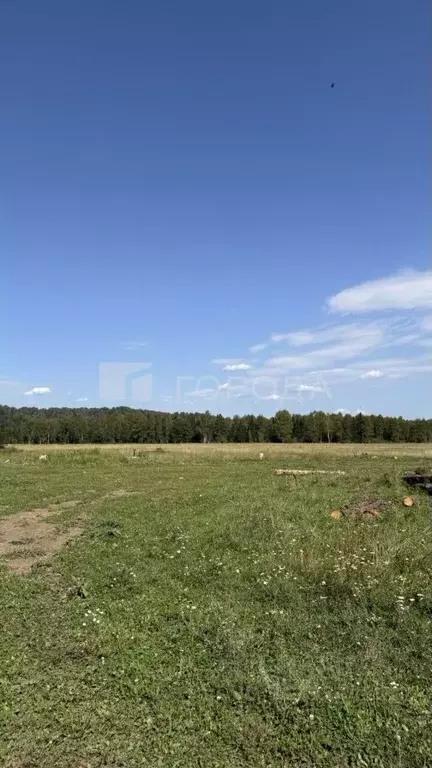 Участок в Алтай, Турочакский район, с. Дмитриевка Рабочая ул. (9.0 ... - Фото 1