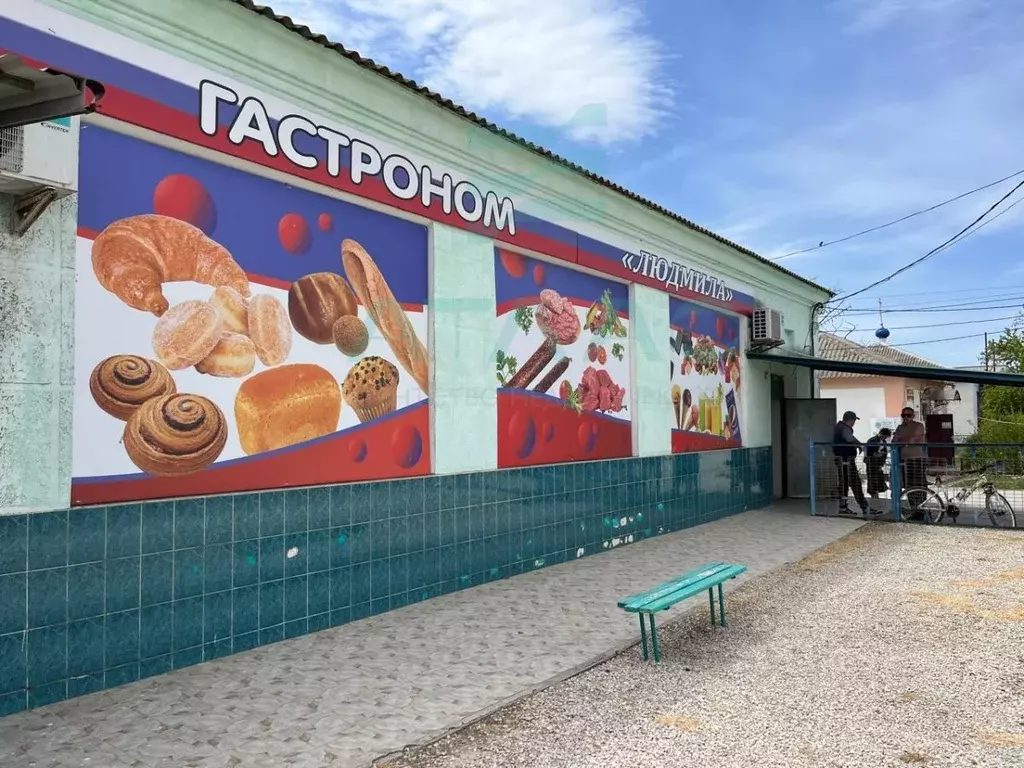 Торговая площадь в Крым, Джанкойский район, с. Мирновка ул. Новая, 4 ... - Фото 0