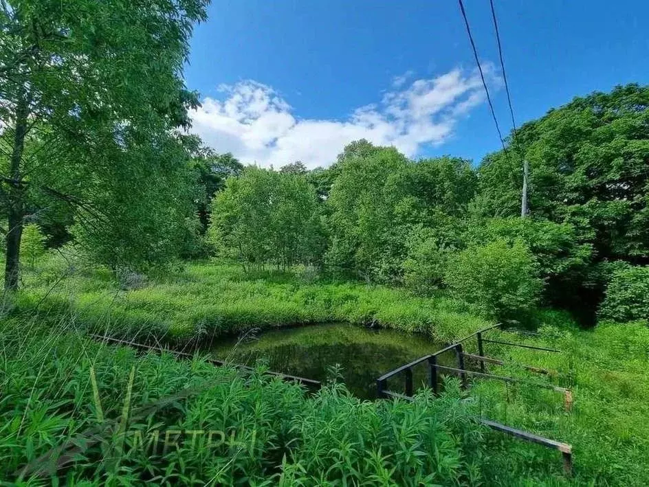 Участок в Приморский край, Надеждинский район, Горное урочище  (10.0 ... - Фото 1