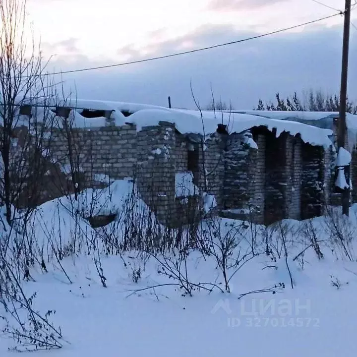 Гараж в Марий Эл, Сернур городское поселение, Сернур пгт  (53 м) - Фото 1