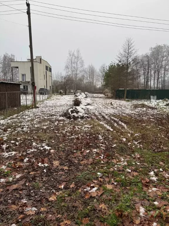 Участок в Калининградская область, Калининград Дивное СНТ, ул. Лесная, ... - Фото 2