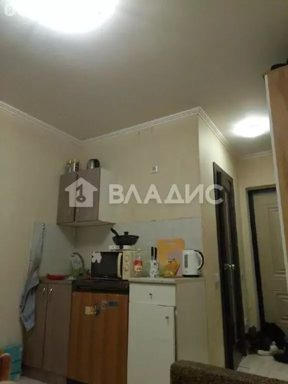 Квартира-студия: посёлок Краснознаменский, улица Льва Толстого, 24к1 ... - Фото 1