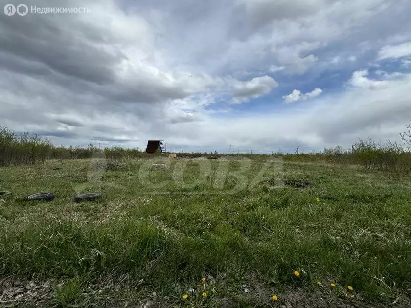 Участок в Тюменский район, деревня Большие Акияры (8.2 м) - Фото 0