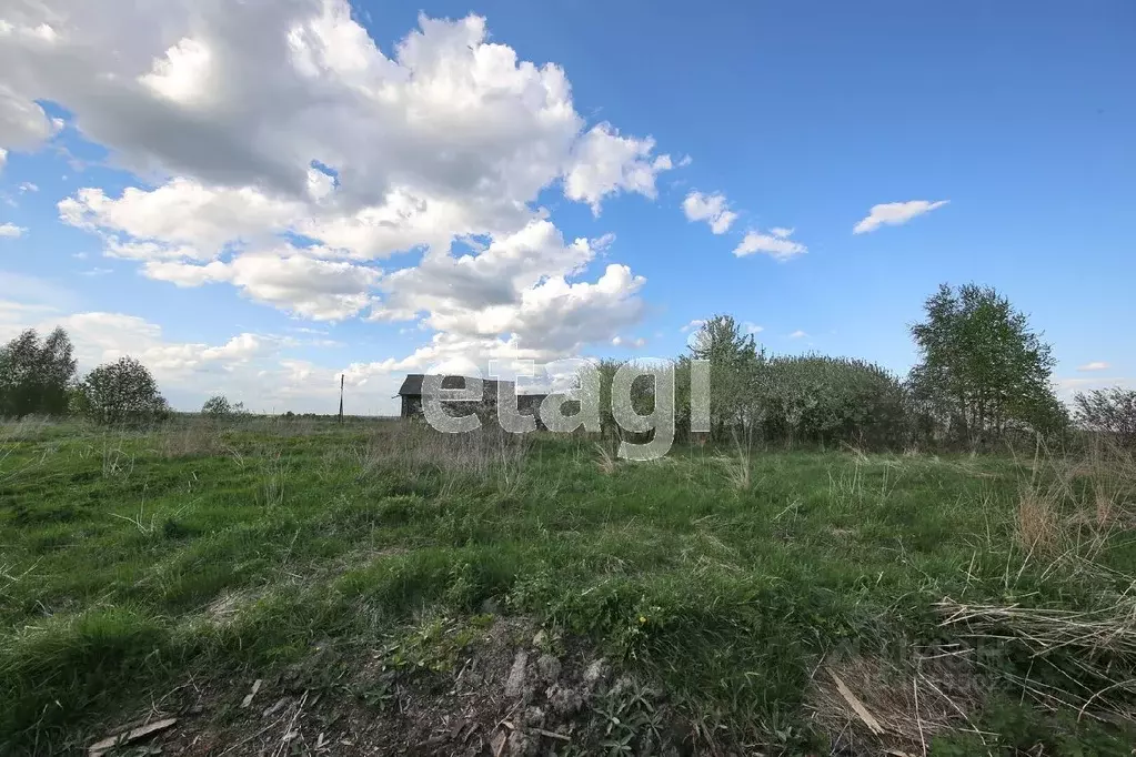 Участок в Костромская область, Красносельский район, Шолоховское ... - Фото 1