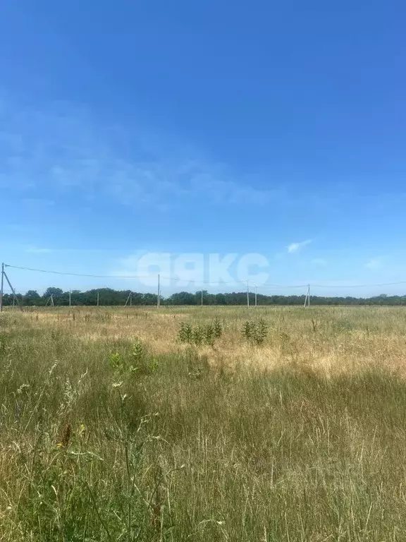 Участок в Адыгея, Майкоп городской округ, пос. Северный  (6.5 сот.) - Фото 1