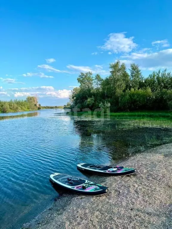 Участок в Новосибирская область, Колывань рп  (8000.0 сот.) - Фото 0