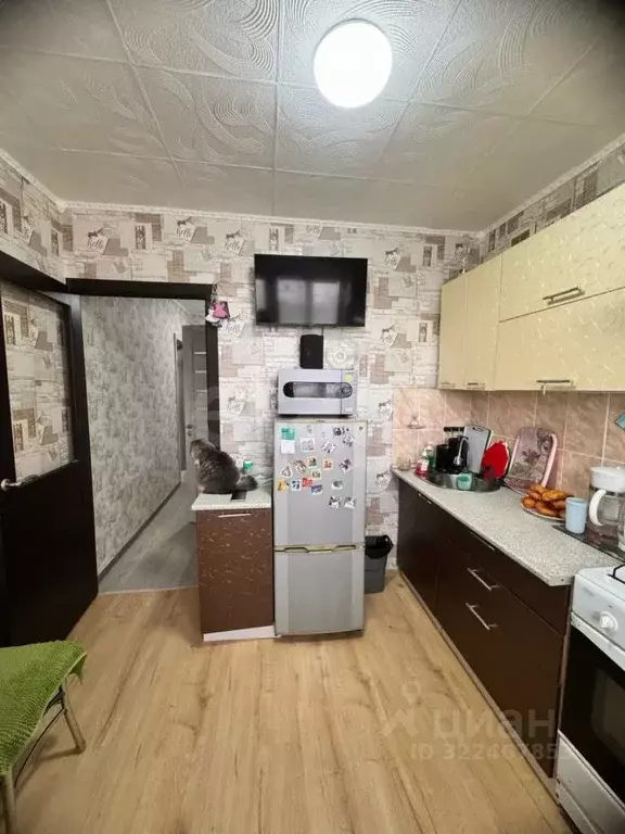 1-к кв. Курганская область, Шадринск ул. Чапаева, 48к4 (30.5 м) - Фото 1
