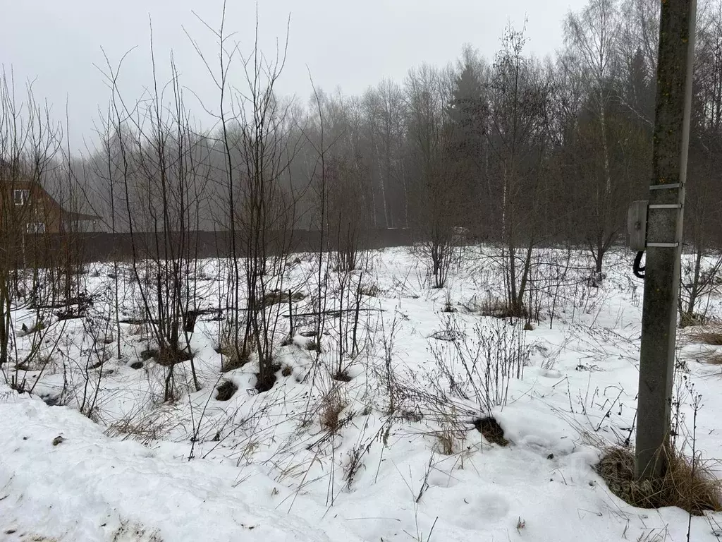 Участок в Владимирская область, Александровский район, Каринское ... - Фото 0