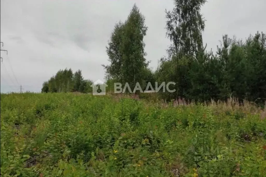 Участок в Владимирская область, Суздальский район, с. Новоалександрово ... - Фото 1