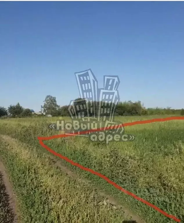 Участок в Воронежская область, Новоусманский район, Усманское 1-е ... - Фото 0