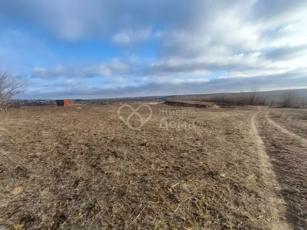 Участок в Волгоградская область, Городищенский район, Царицынское ... - Фото 1