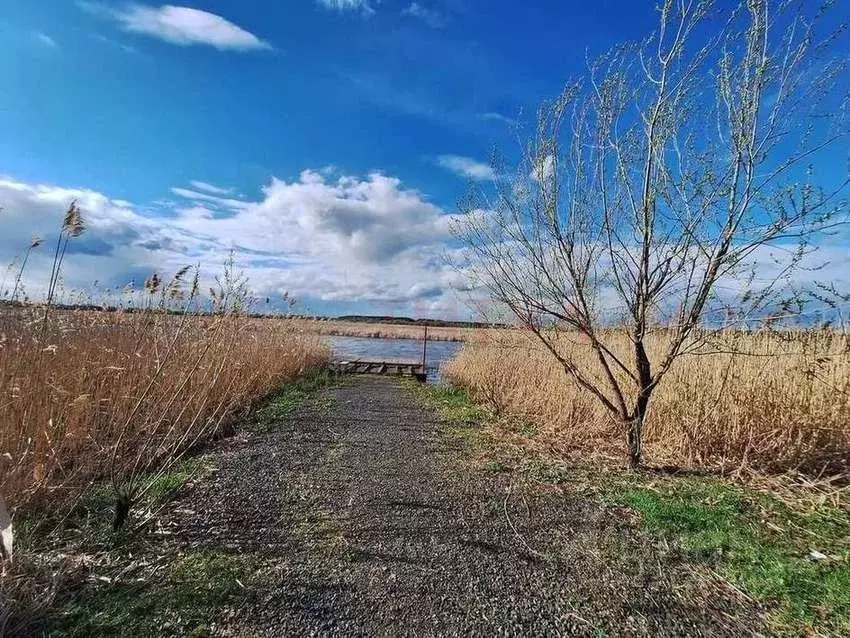 Дом в Белгородская область, Белгородский муниципальный округ, Майское ... - Фото 2