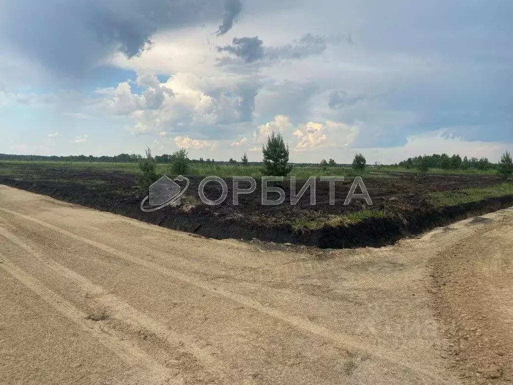 Участок в Тюменская область, Вагайский муниципальный округ, д. Елань ... - Фото 1