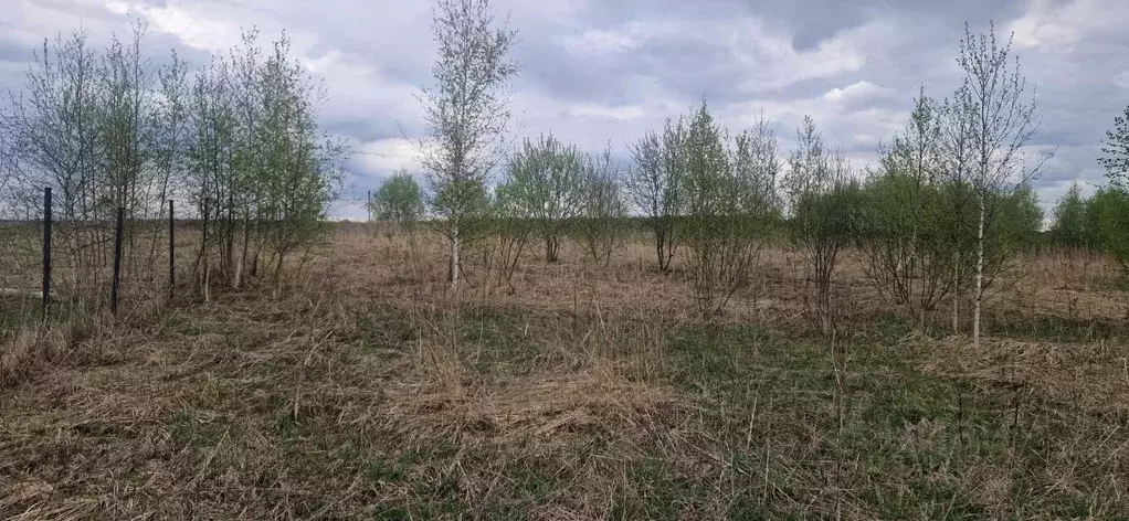 Участок в Московская область, Домодедово городской округ, д. ... - Фото 0