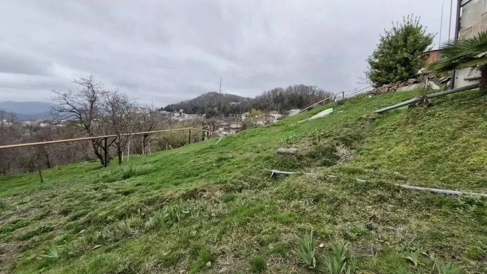 Участок в Краснодарский край, Сочи городской округ, с. Сергей-Поле ул. ... - Фото 1