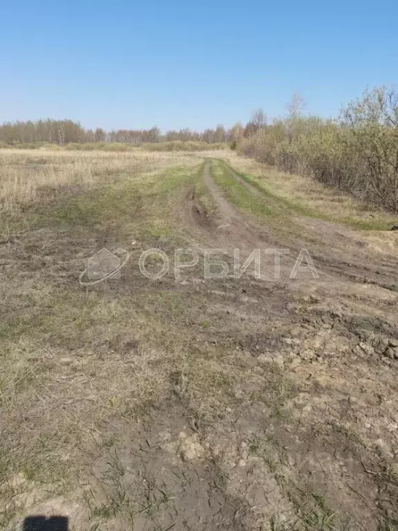 Участок в Тюменская область, Тюменский район, с. Червишево ул. ... - Фото 1