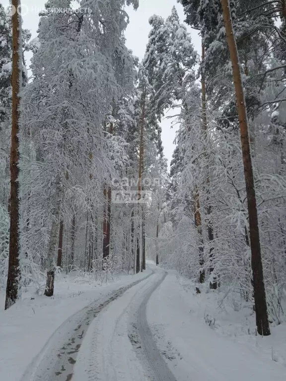 Участок в Екатеринбург, садоводческое некоммерческое товарищество ... - Фото 1