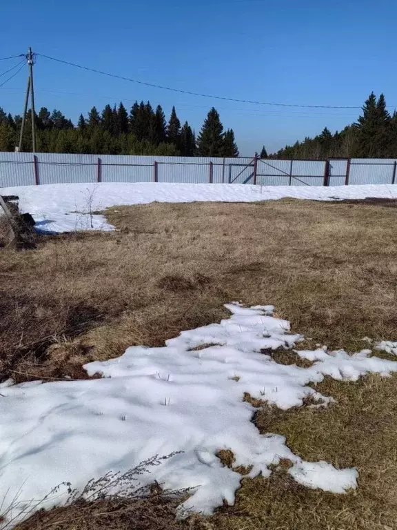 Участок в Пермский край, Пермский муниципальный округ, д. Шилово ул. ... - Фото 1