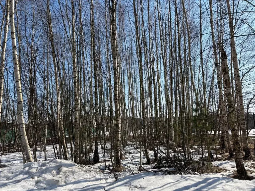 Участок в Московская область, Павлово-Посадский городской округ, д. ... - Фото 1