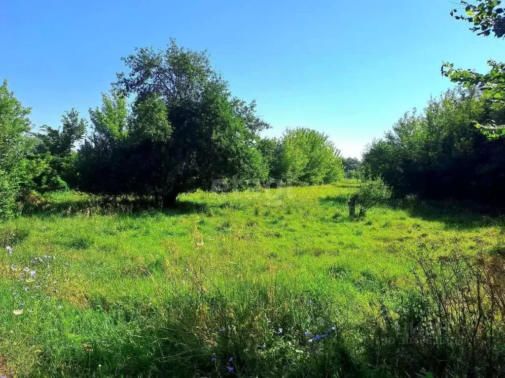 Участок в Белгородская область, Валуйский городской округ, с. ... - Фото 1