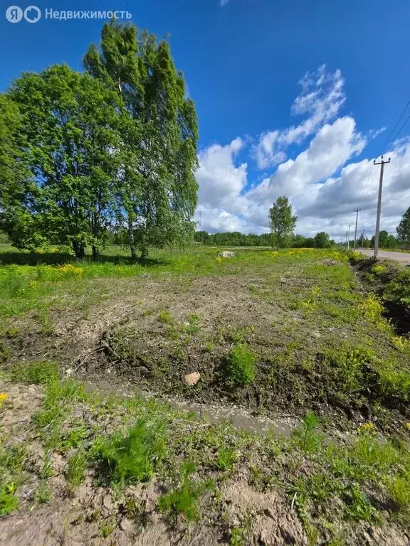 Участок в Выборгский район, Рощинское городское поселение, посёлок ... - Фото 1