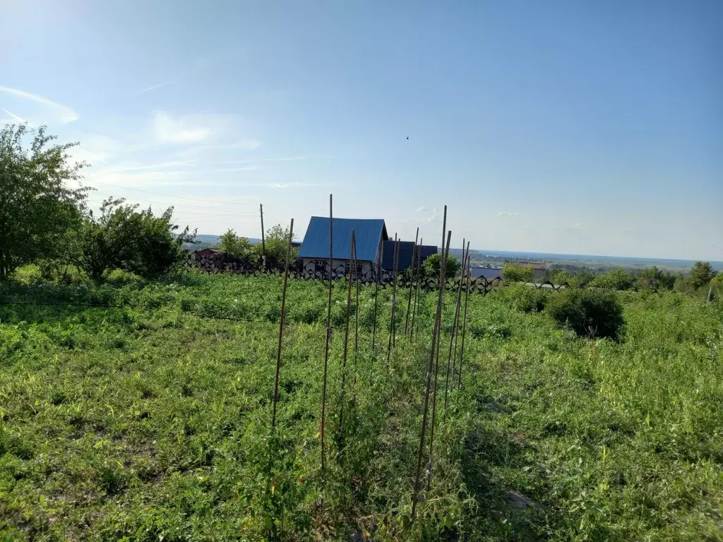 Участок в Алтайский край, Барнаул муниципальное образование, Поселок ... - Фото 0